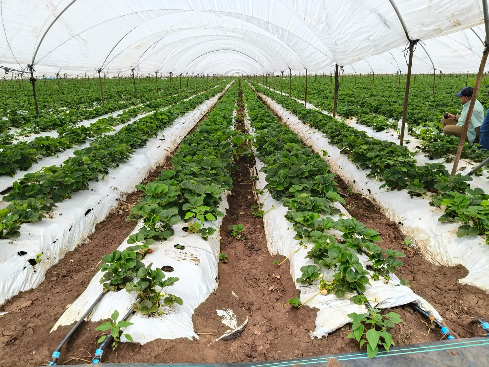 WhatsApp Image 2025-12-19 at 7.35.02 PM