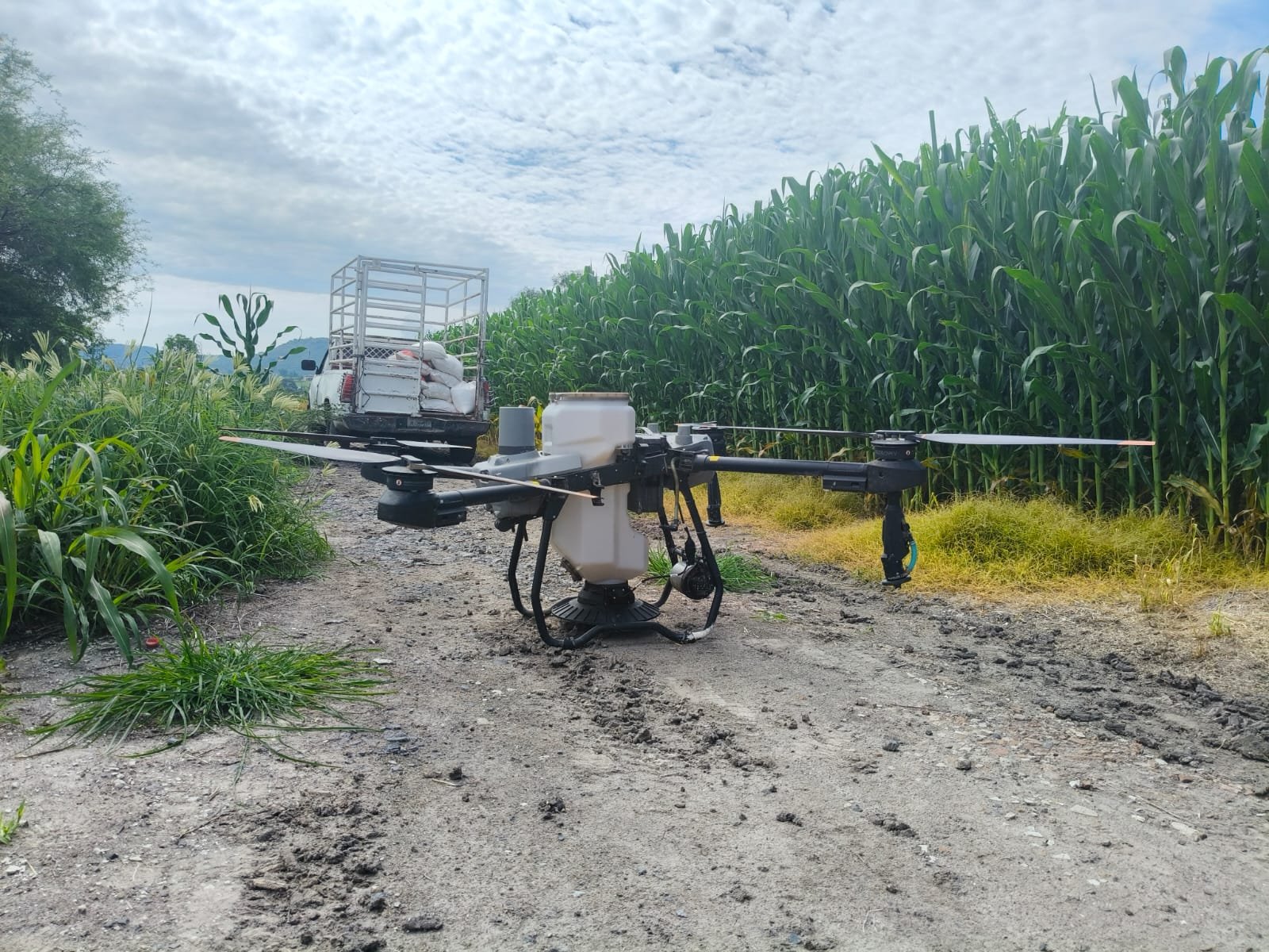 WhatsApp Image 2025-12-19 at 7.35.04 PM (2)