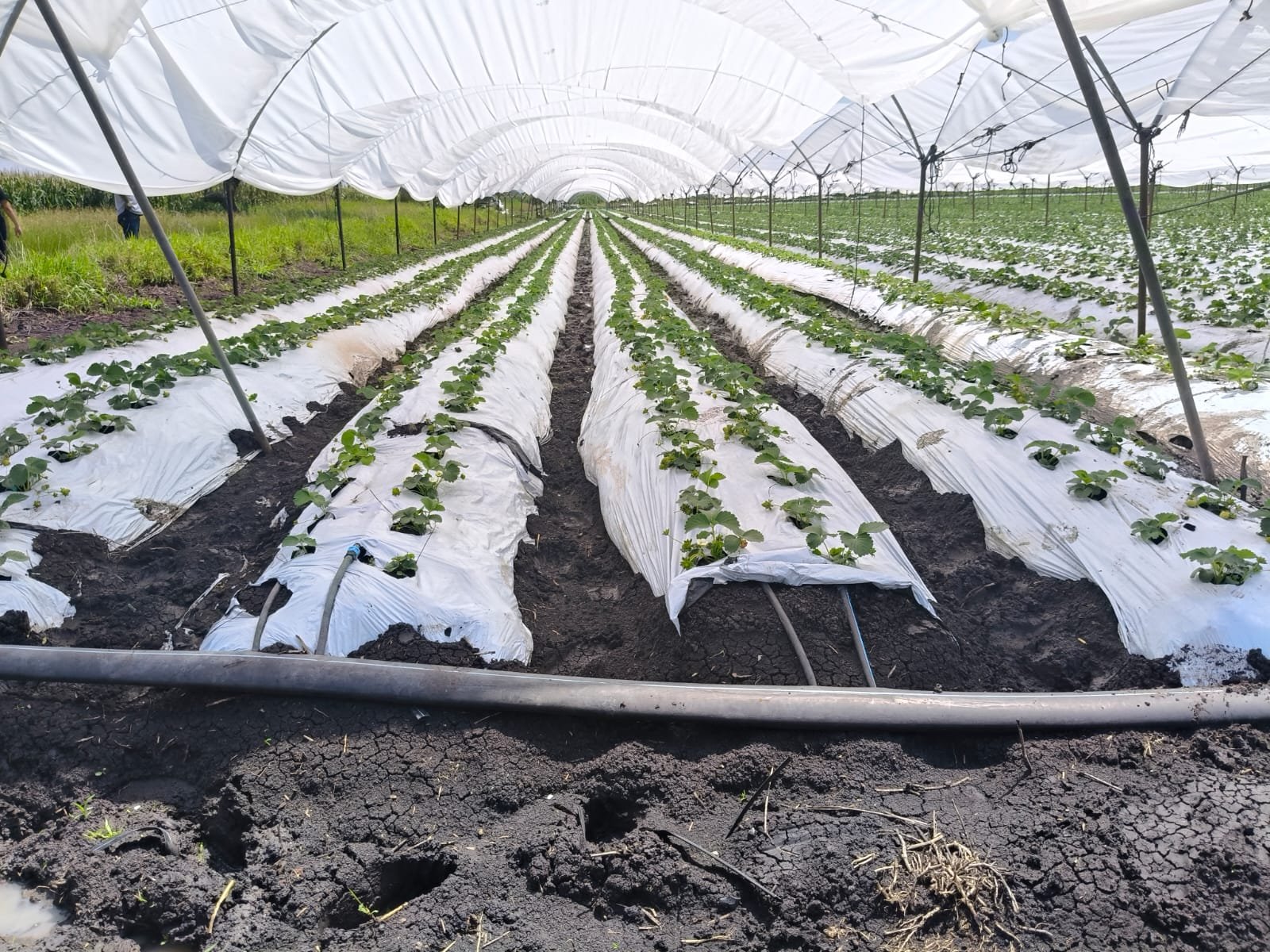 WhatsApp Image 2025-12-19 at 7.35.04 PM