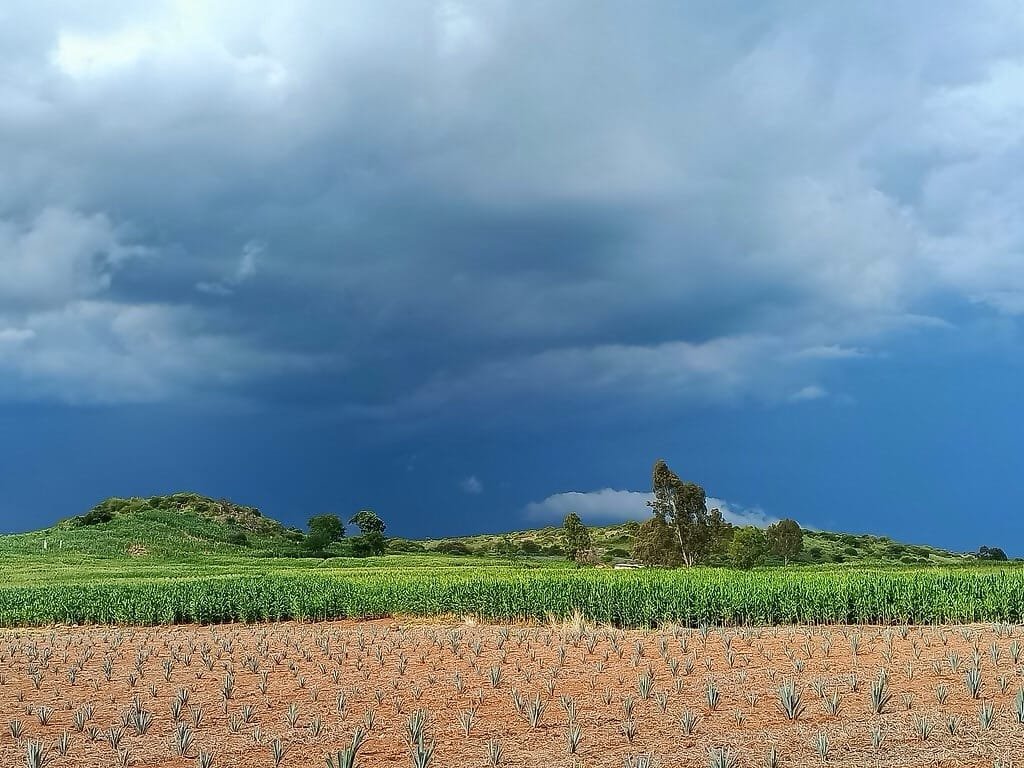 WhatsApp Image 2025-12-19 at 7.35.05 PM