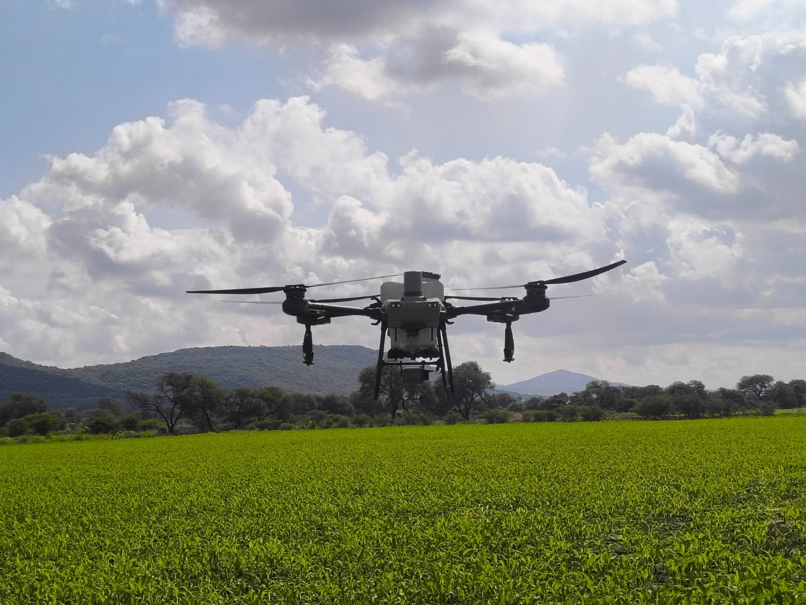 WhatsApp Image 2025-12-19 at 7.35.06 PM (2)