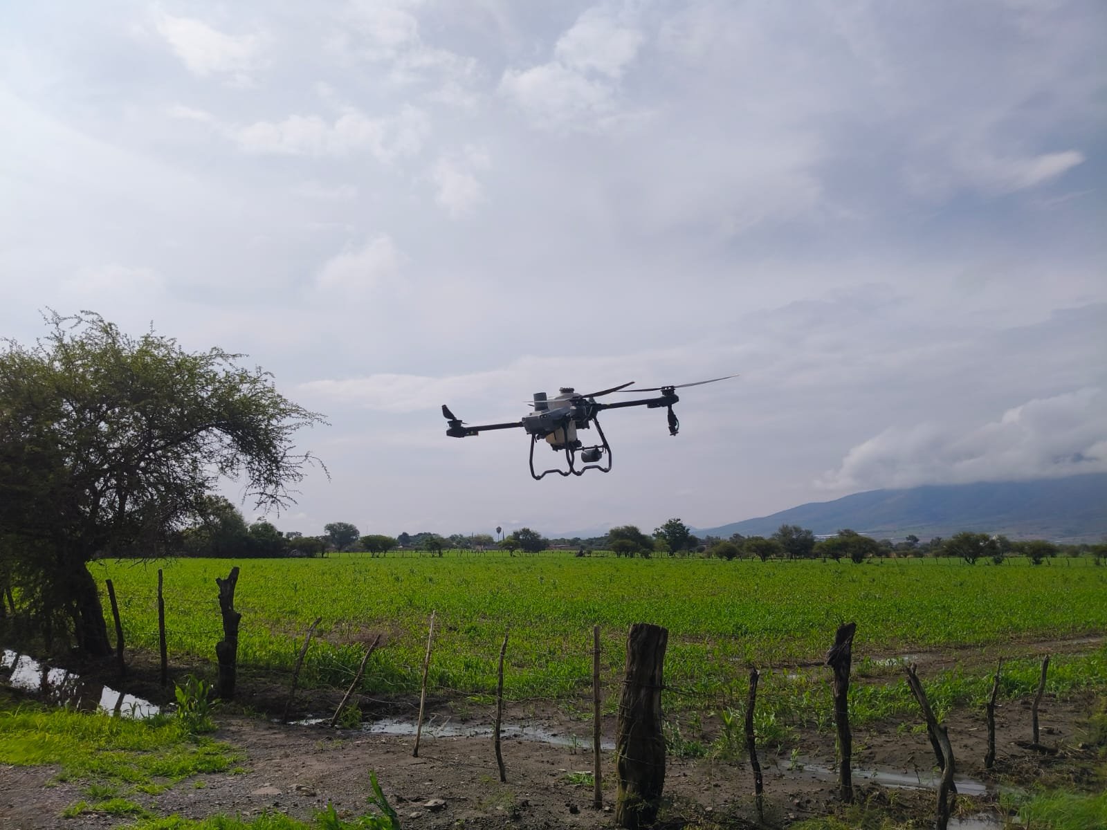 WhatsApp Image 2025-12-19 at 7.35.08 PM