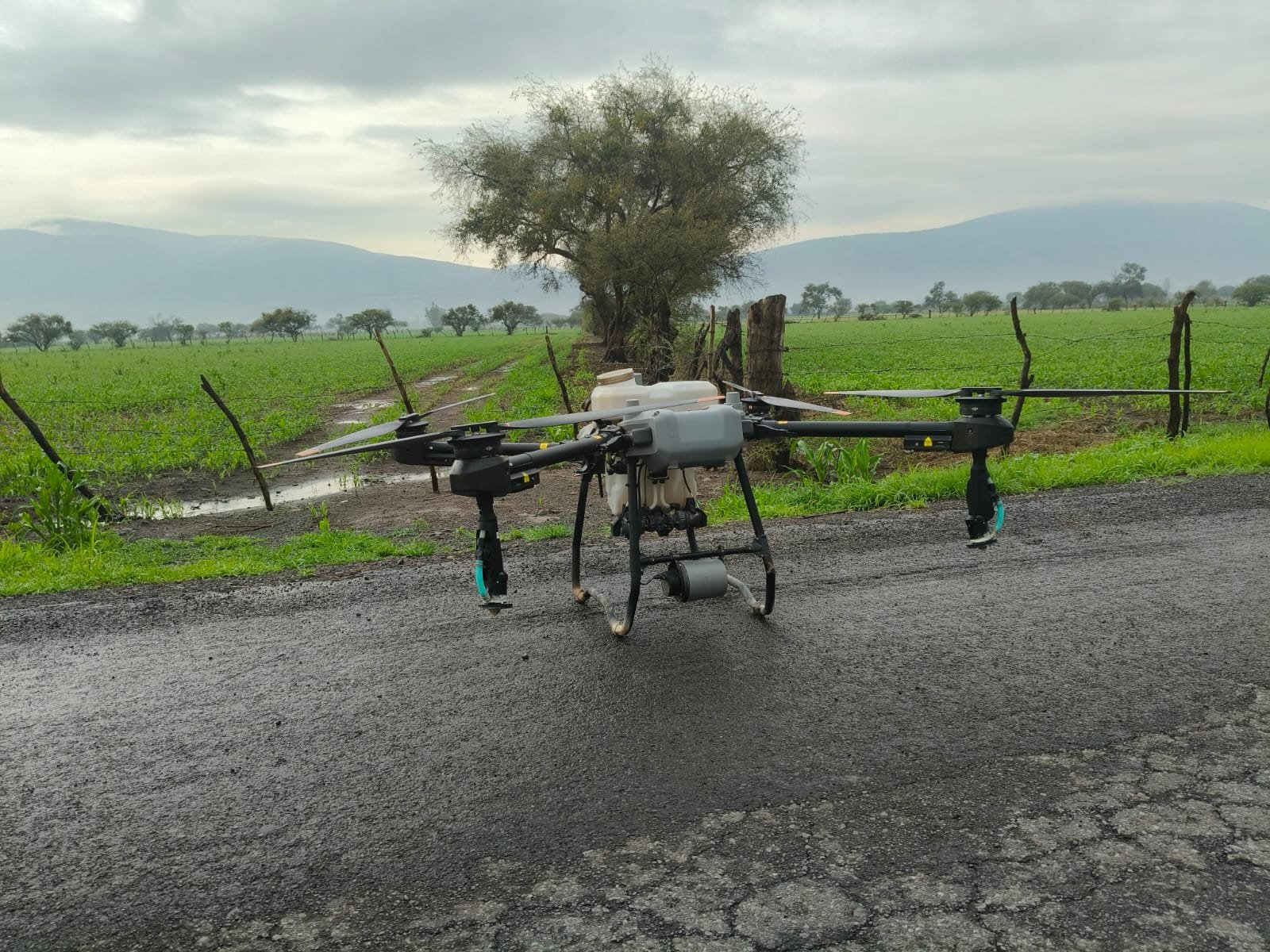 WhatsApp Image 2025-12-19 at 7.35.09 PM (2)