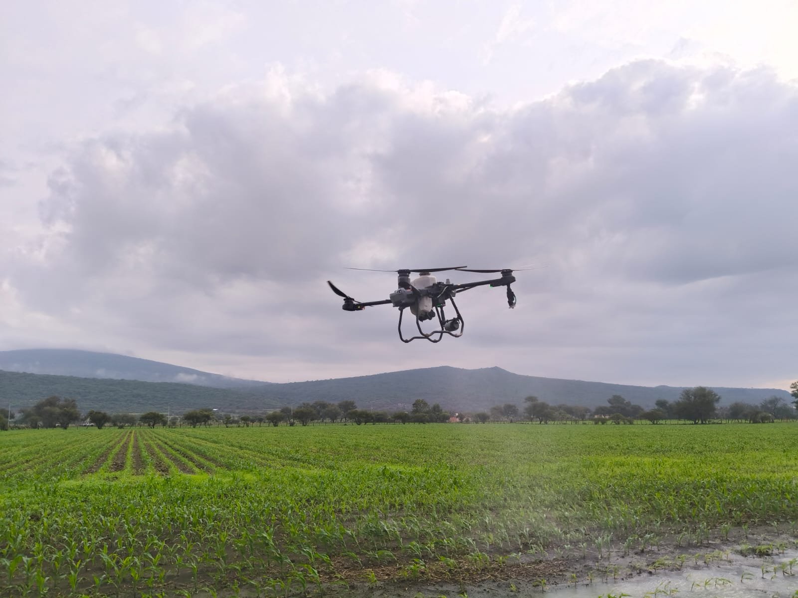 WhatsApp Image 2025-12-19 at 7.35.09 PM