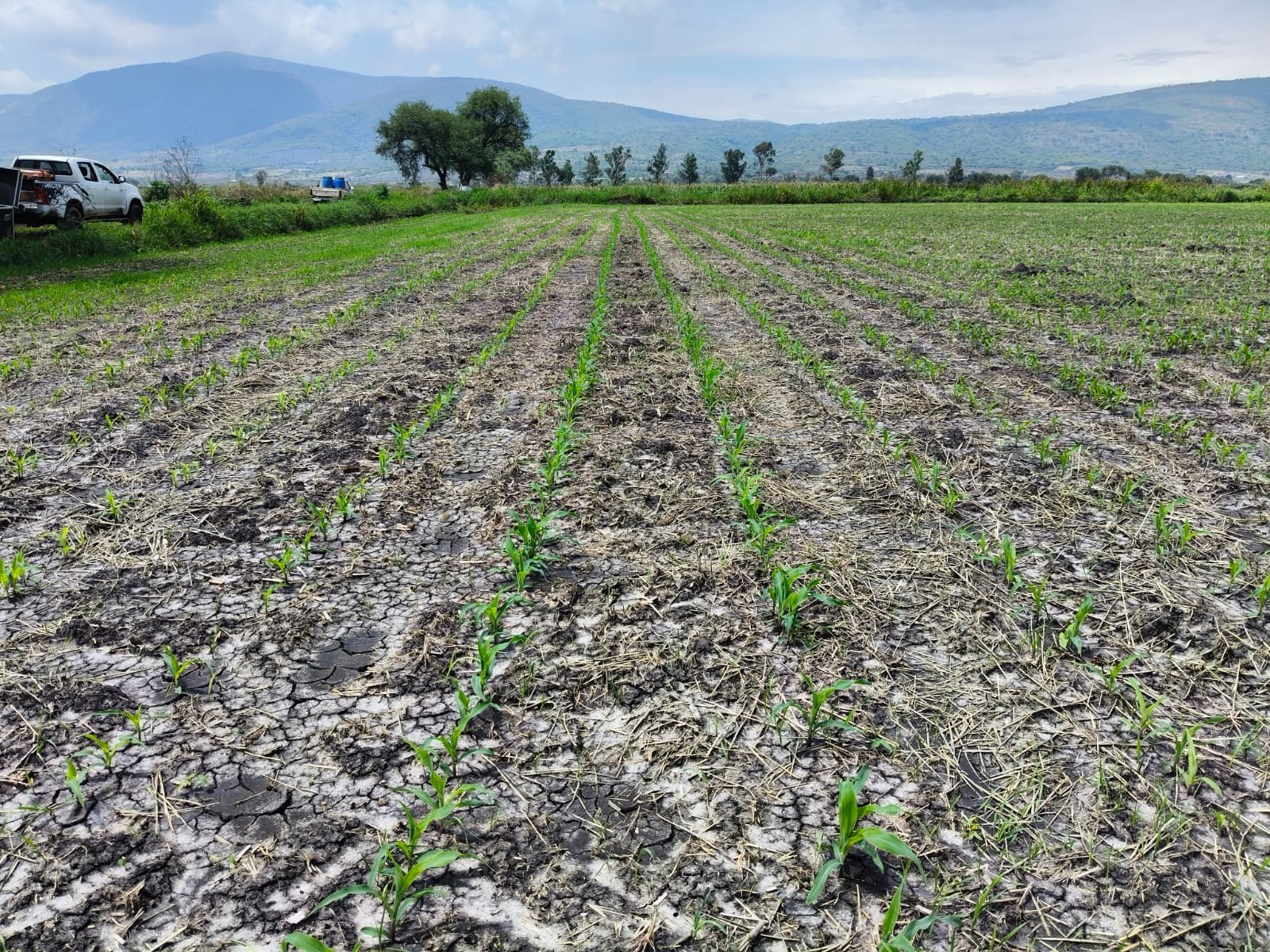 WhatsApp Image 2025-12-19 at 7.35.10 PM (1)