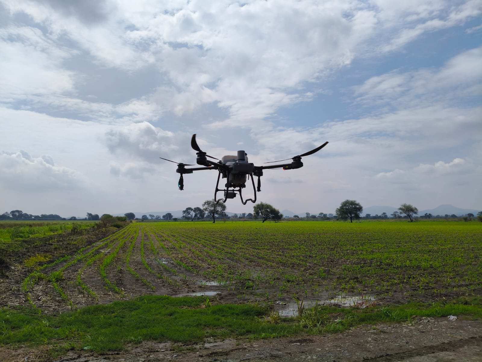 WhatsApp Image 2025-12-19 at 7.35.10 PM (2)