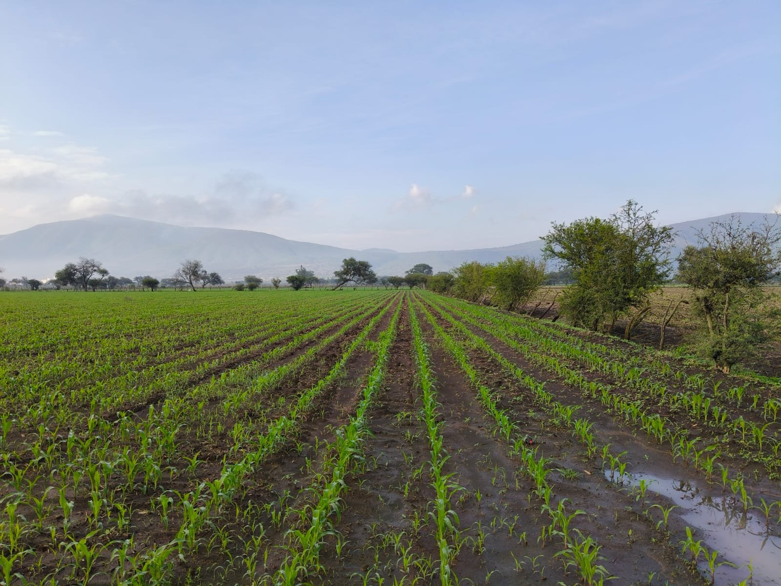 WhatsApp Image 2025-12-19 at 7.35.10 PM (3)