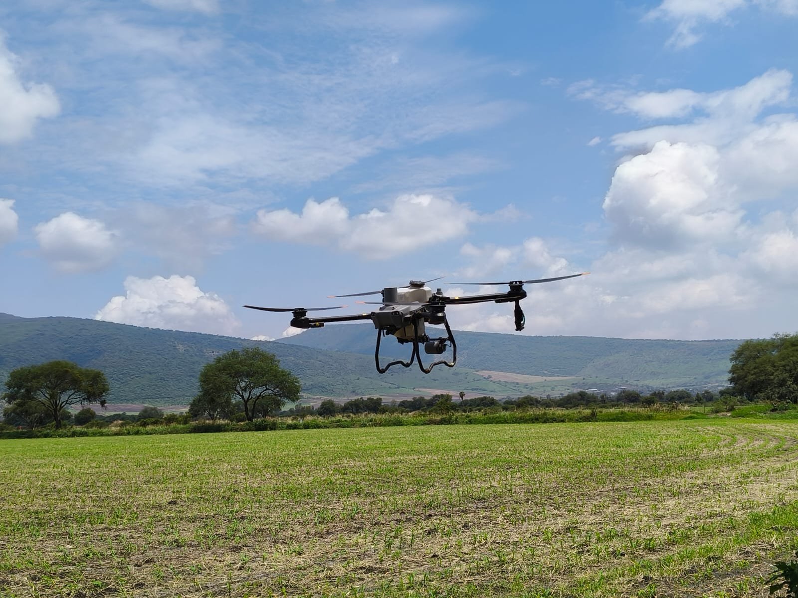 WhatsApp Image 2025-12-19 at 7.35.10 PM